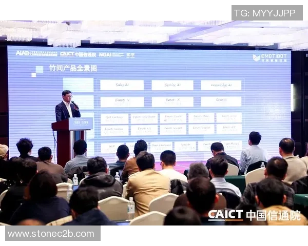 上海排球队转型之路的挑战与机遇全景分析